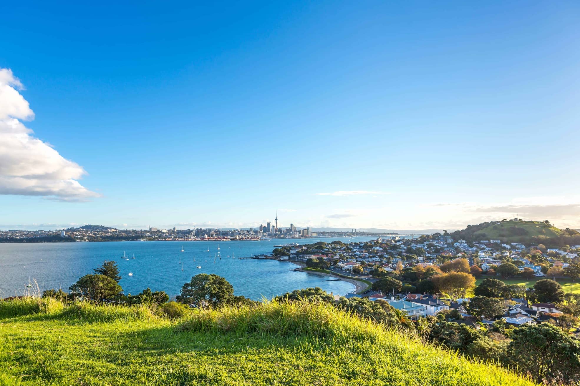 20 things in Auckland for under $20