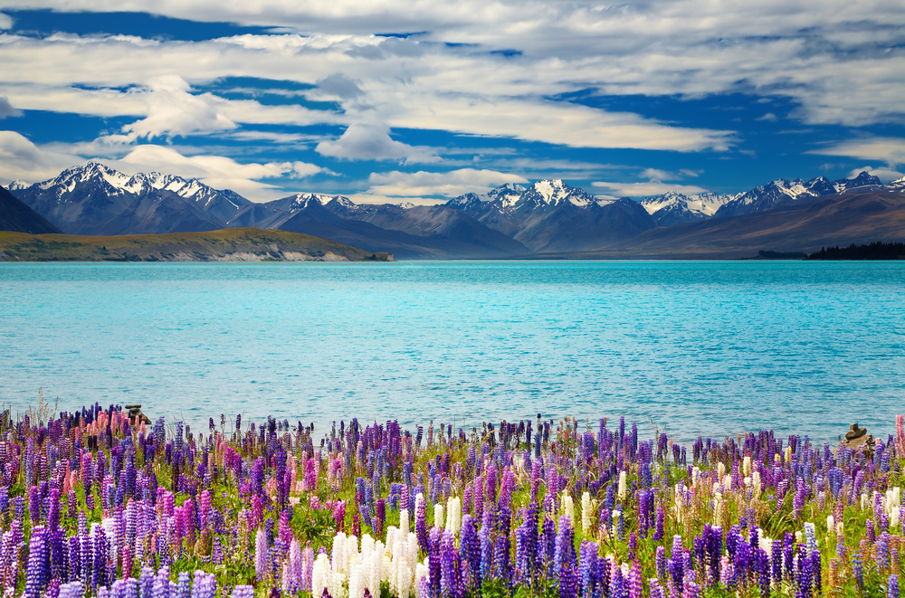 Why You Should Visit New Zealand At least Once