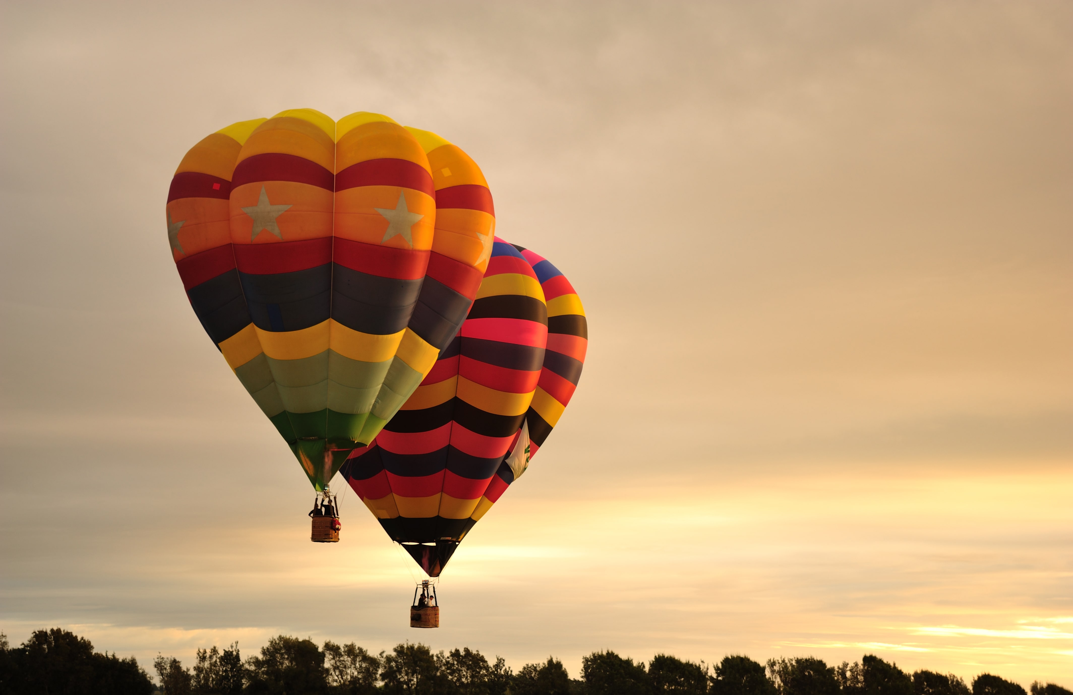 New Zealand Hosts a Menagerie of Attractions for Every Type of Traveller