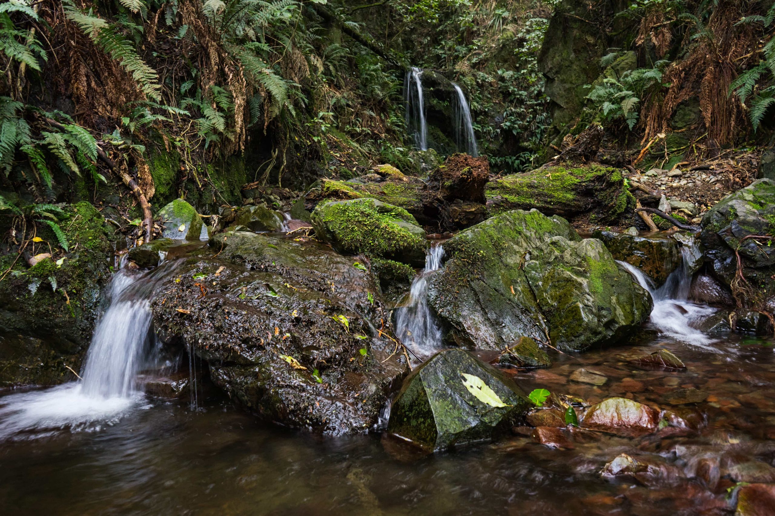 South Taranaki Travel Guide Reviews on South Taranaki New Zealand