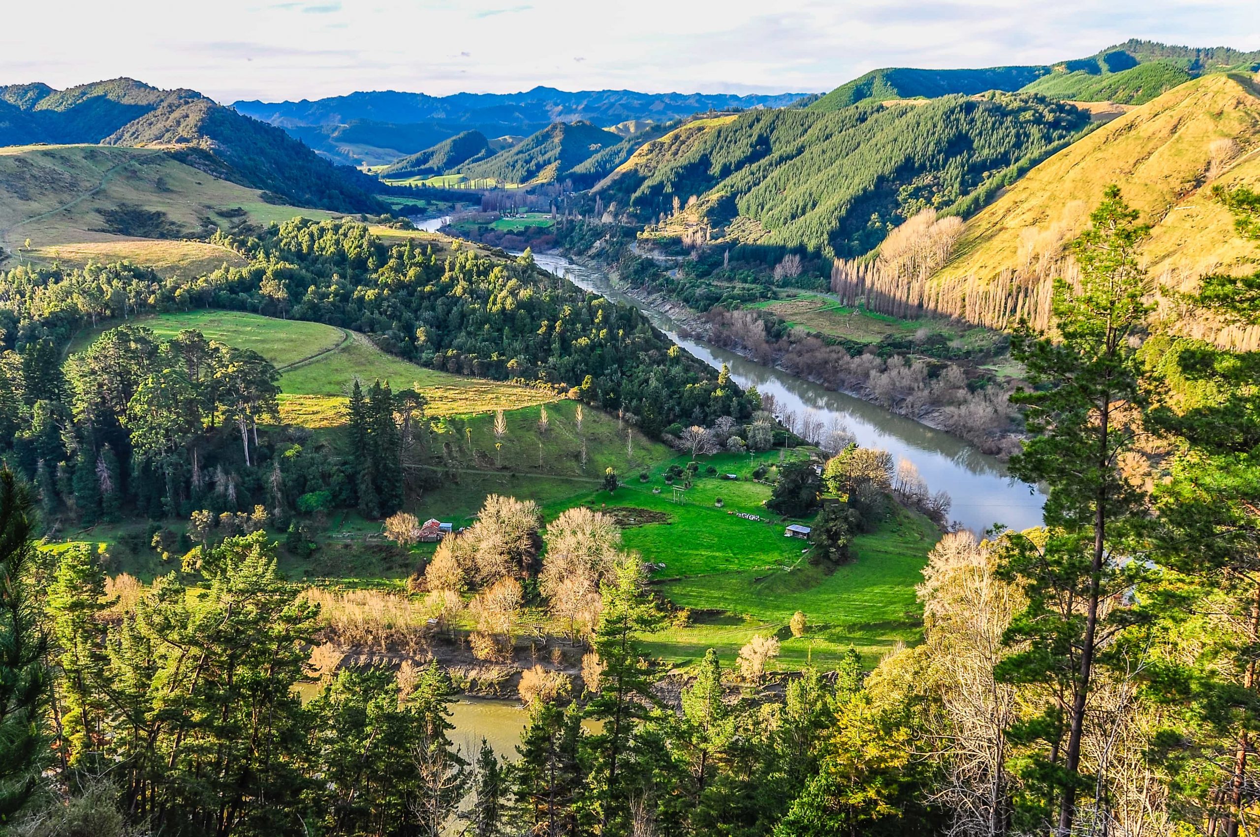 Wanganui River, Heritage, and Arts