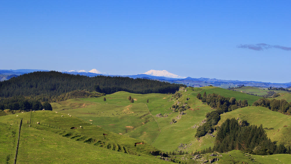 gallery-img