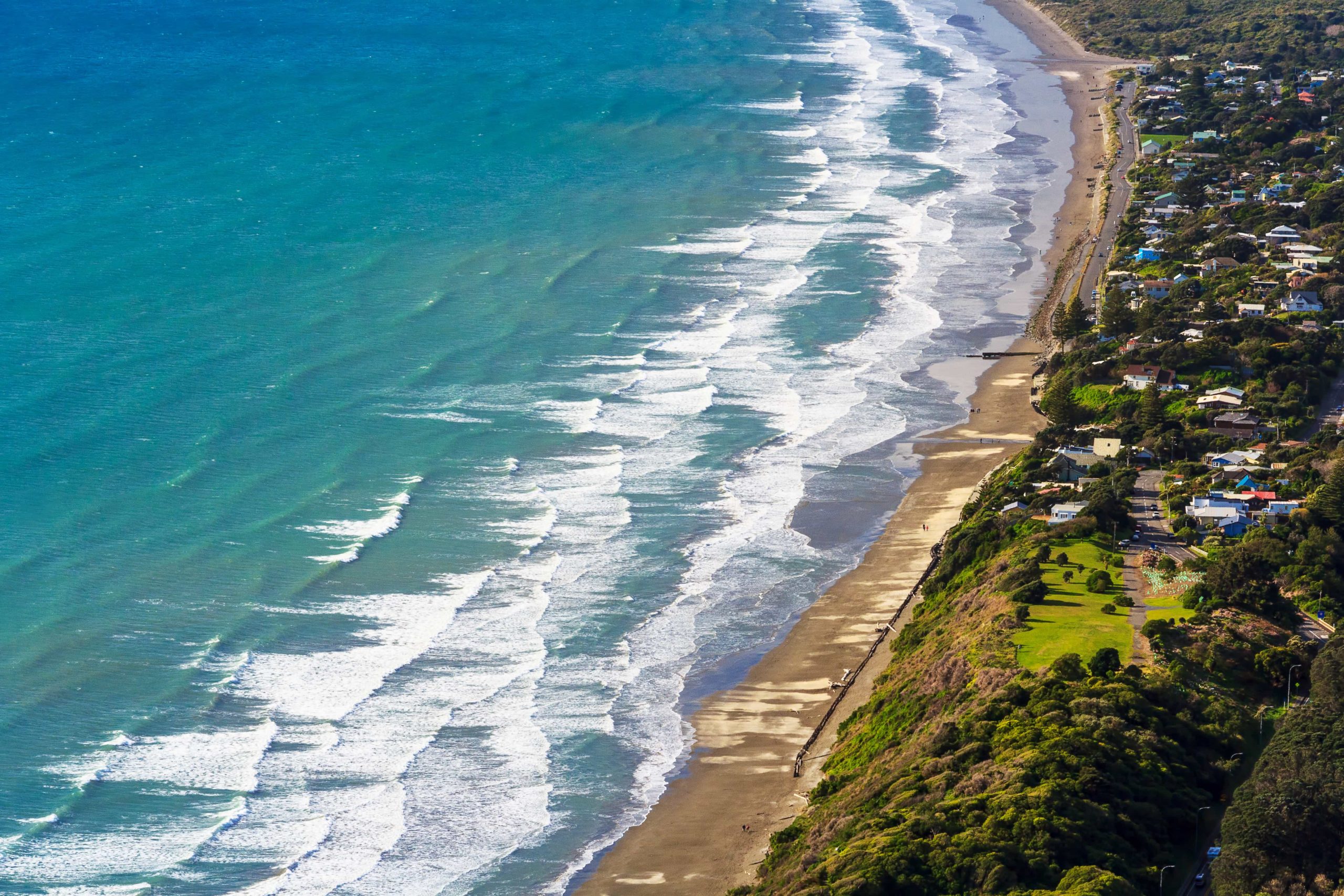 Kapiti Coast Guide Embracing Nature's Playground