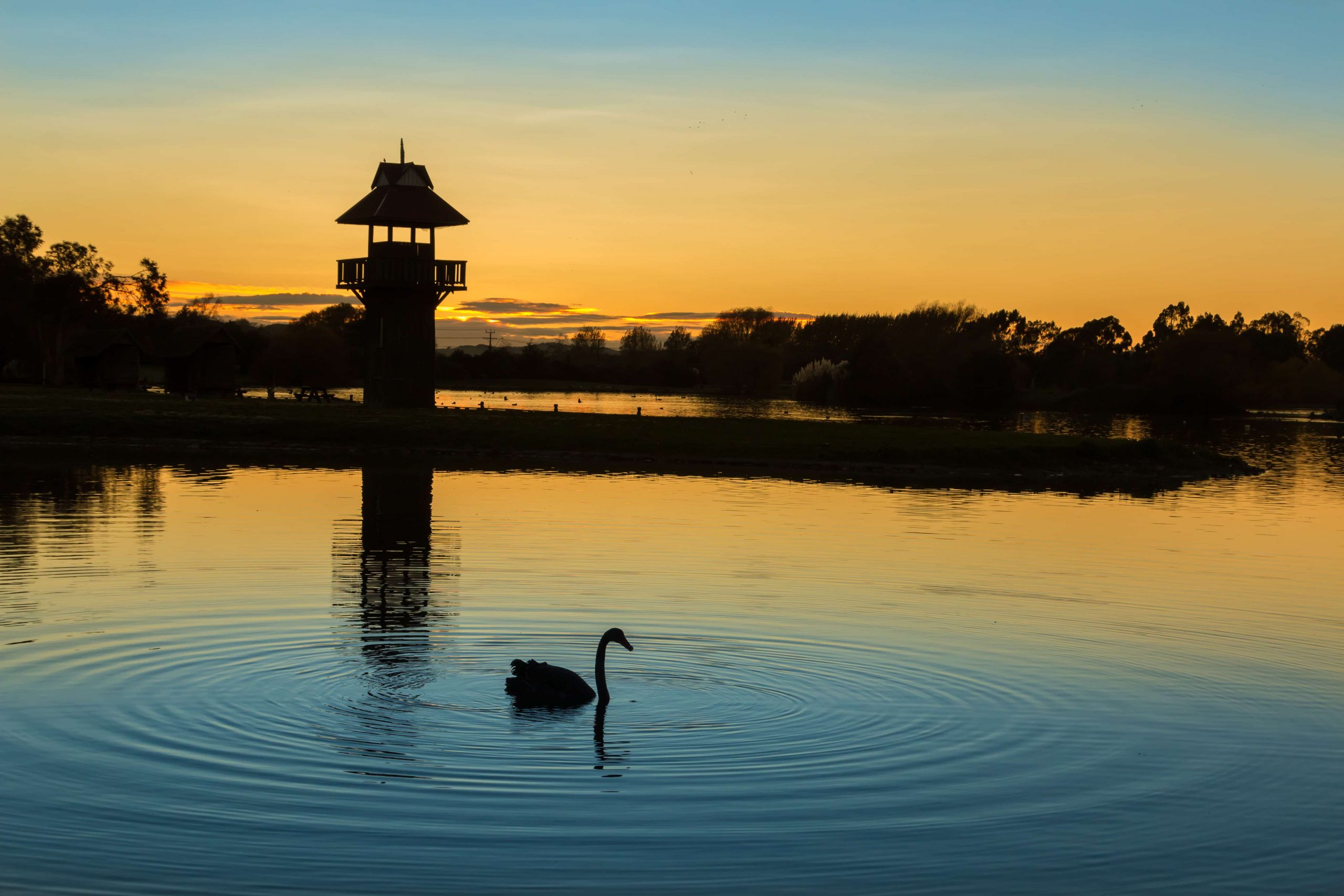 gallery-img