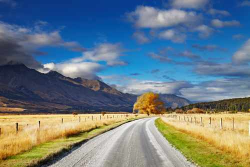 gallery-img