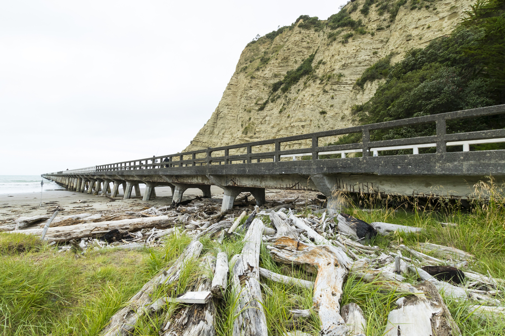 Gisborne Beaches, Vineyards, and Maori Culture
