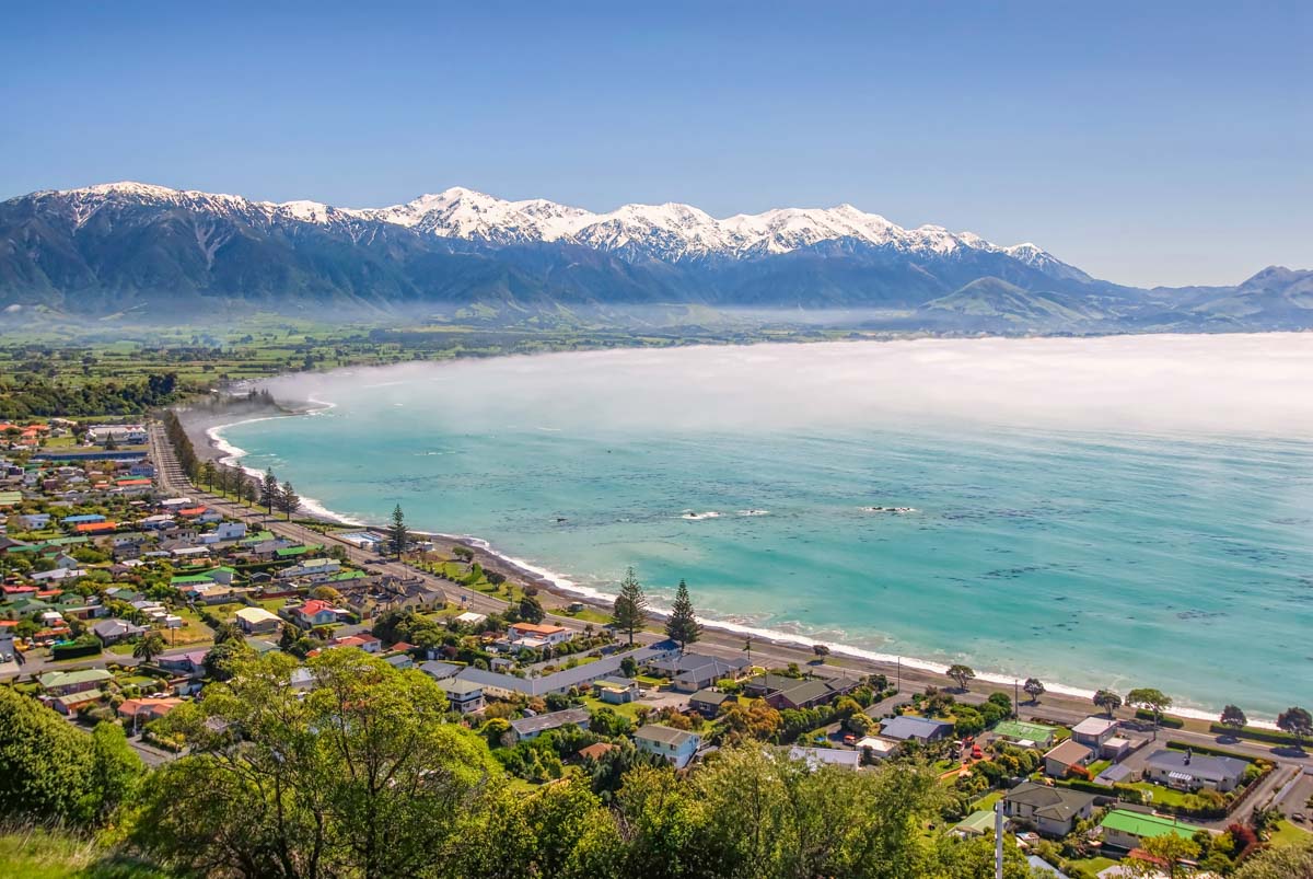 Beyond the Beaten Path: 7 Hidden Gems in Kaikoura