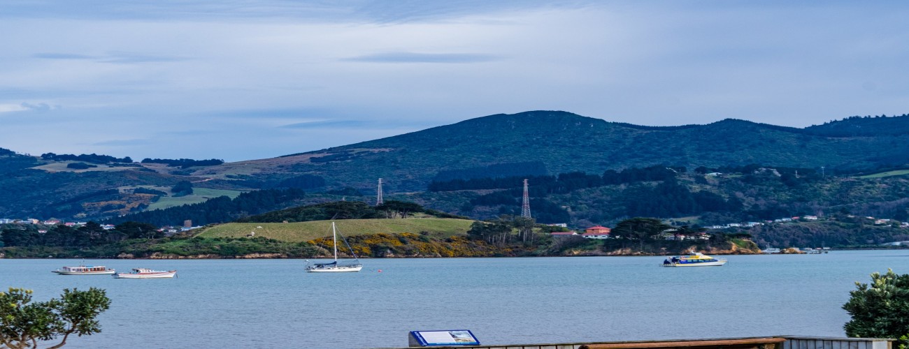 Dunedin Accommodation