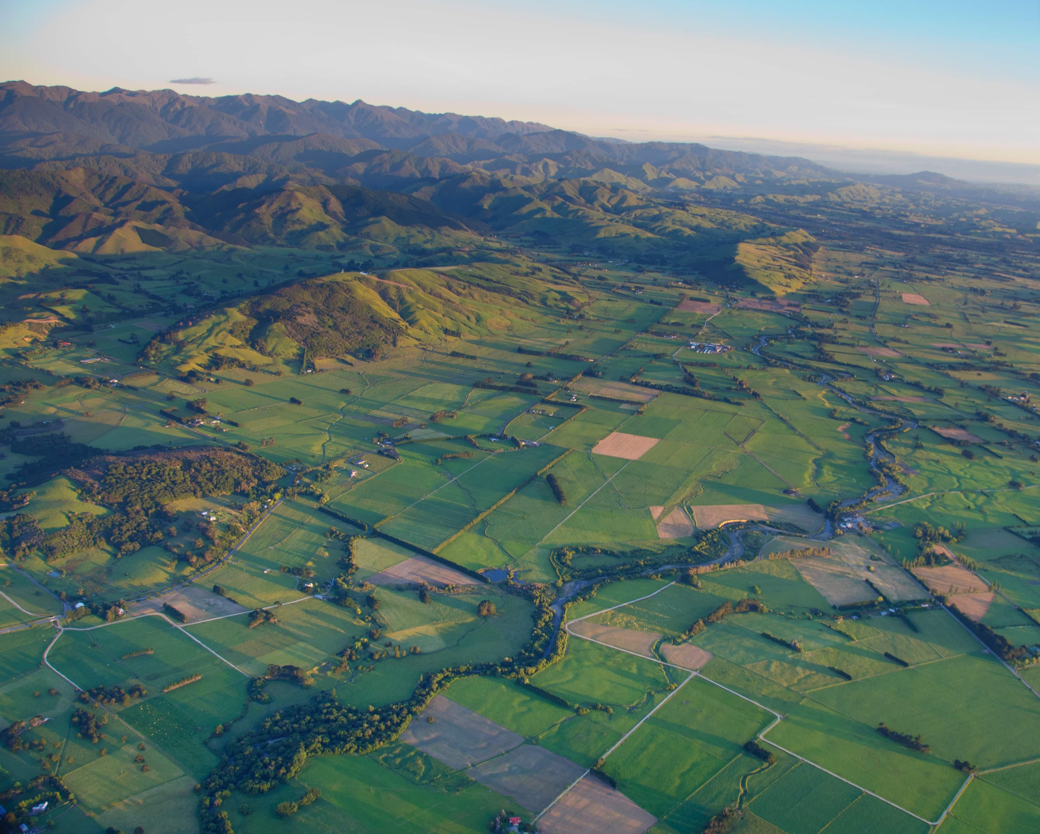 Wairarapa Full Day Tour