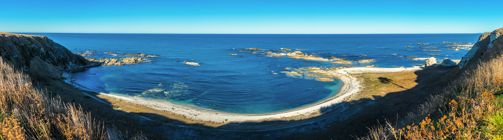 Kaikoura: A Marine Wonderland