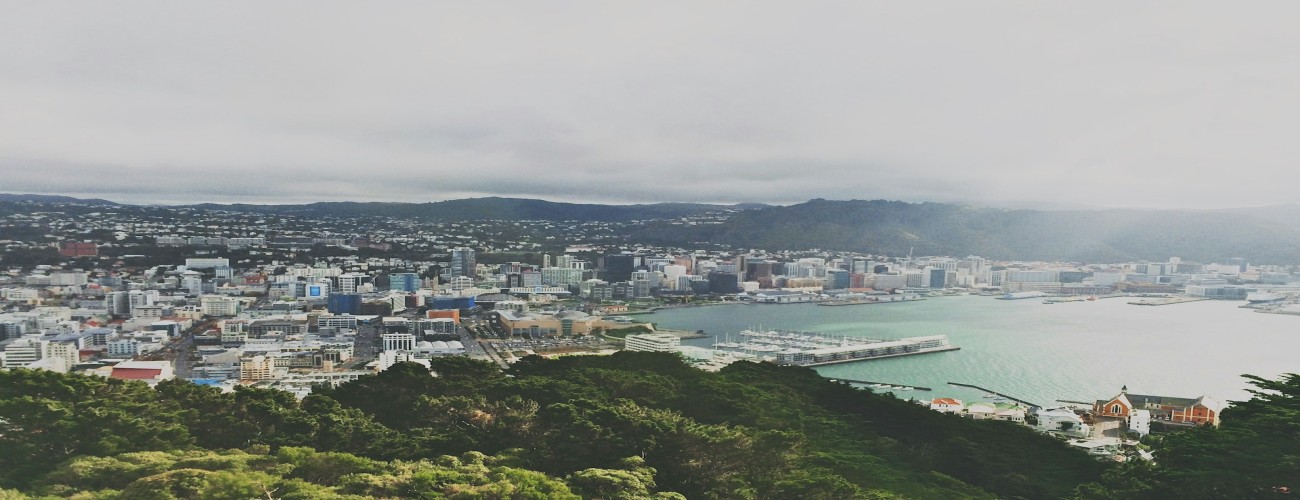Wellington's Cultural Scene: A Tour of the Capital's Highlights