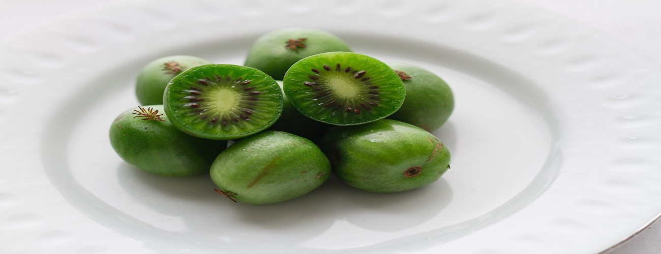 The Kiwi Palette: A Culinary Tour of New Zealand’s Regional Specialties