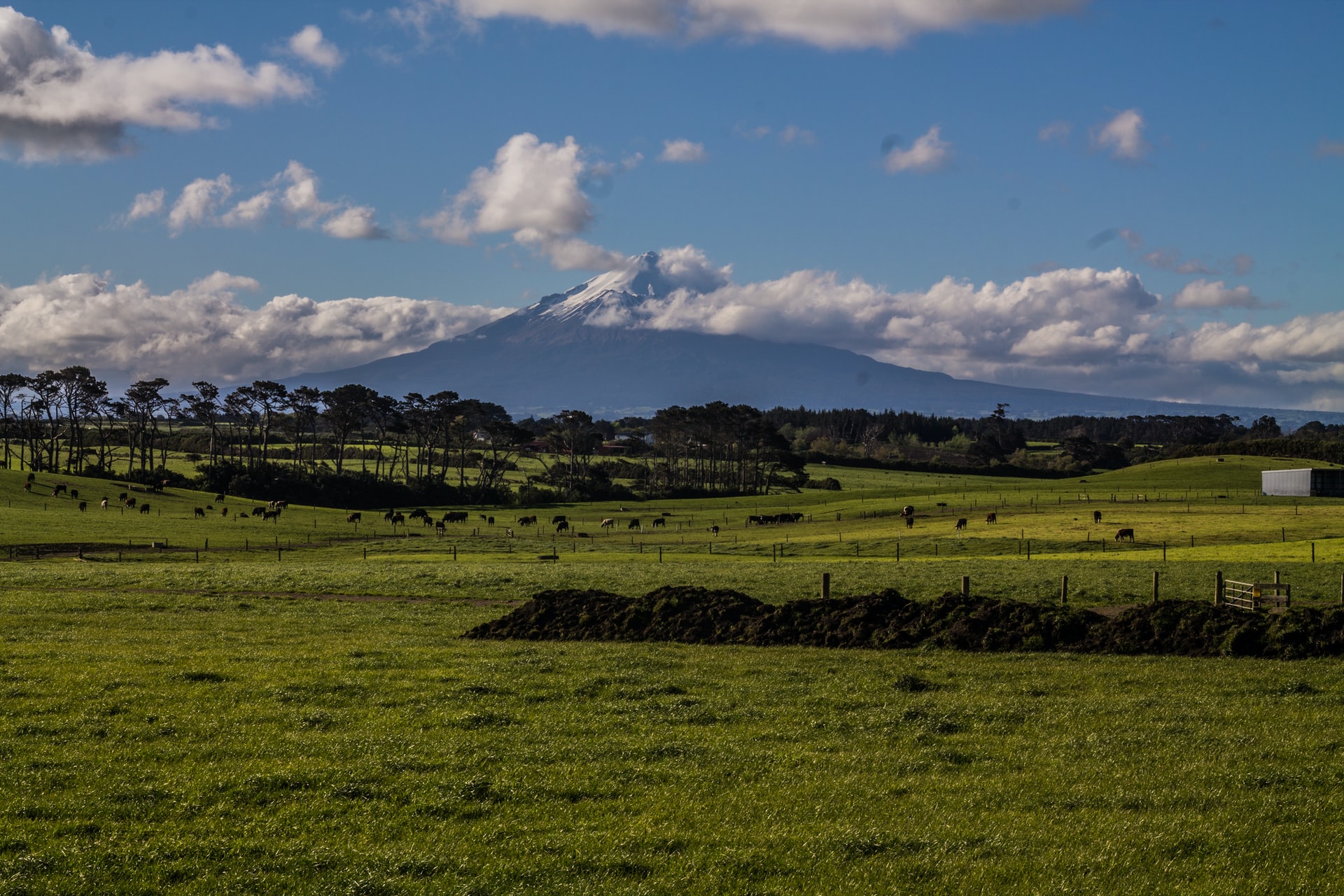 Must things to do in Egmont National Park
