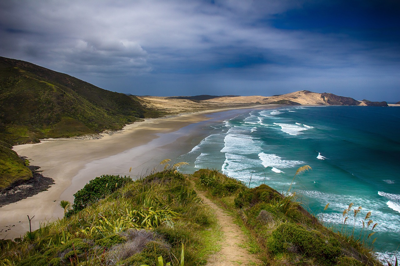 New Zealand’s Literary Landscapes: Following in the Footsteps of Famous Authors