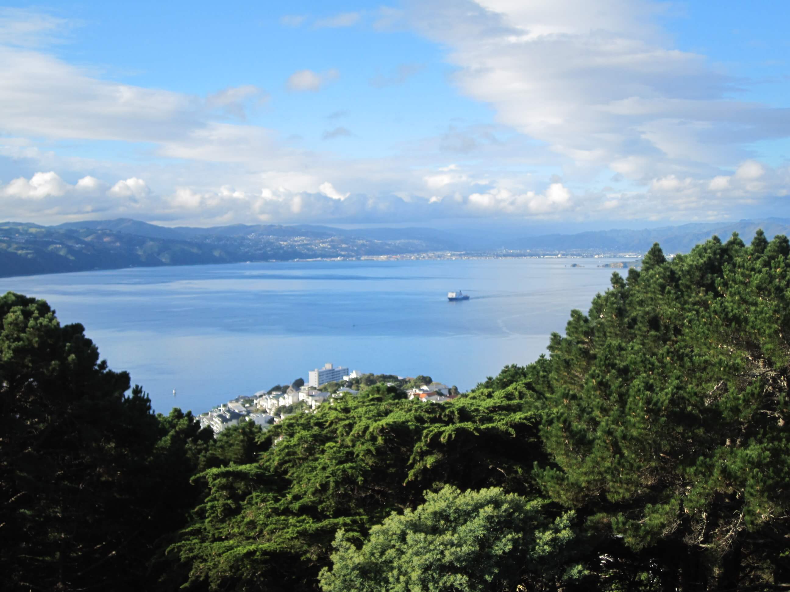 Wellington City Full Day Tour for 2 in Iconic Mustang Convertible