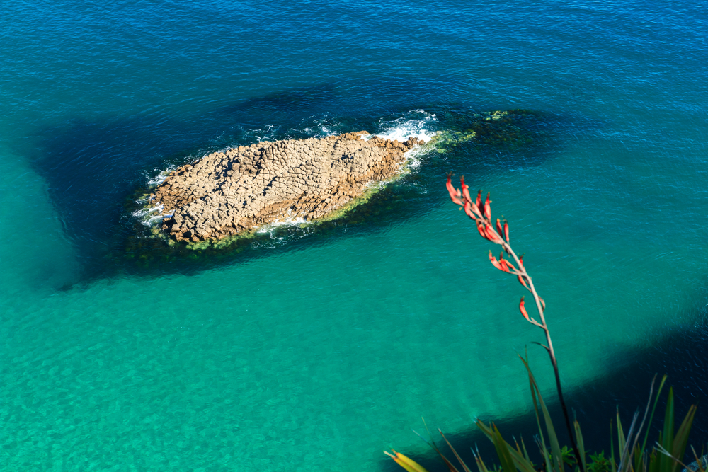 Coromandel Accomodation