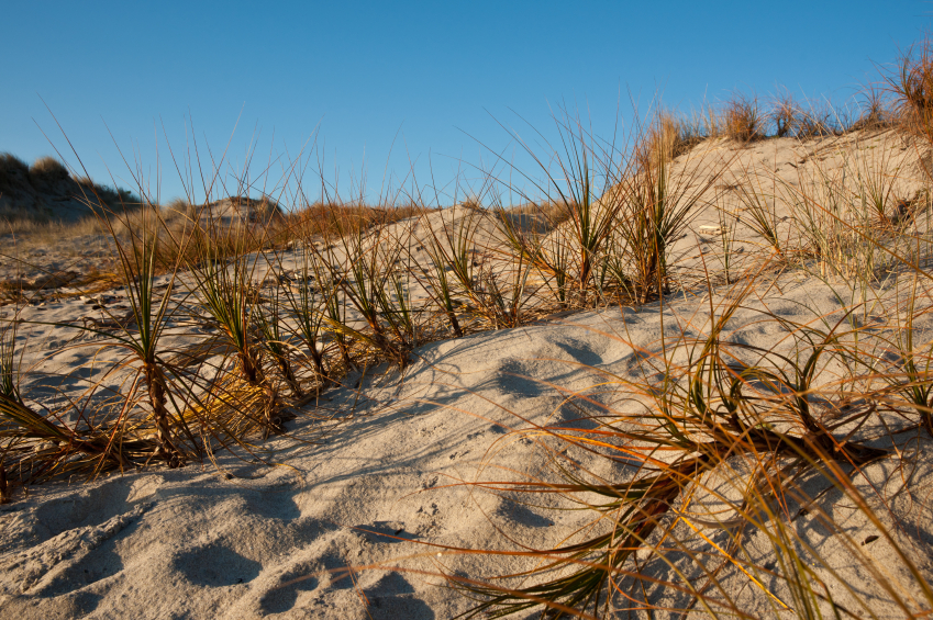 gallery-img