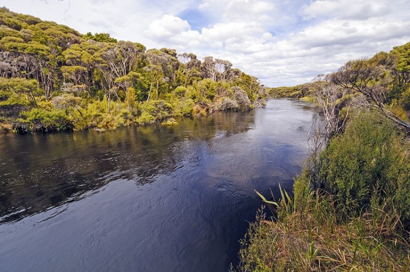 Activities in Rakiura National Park