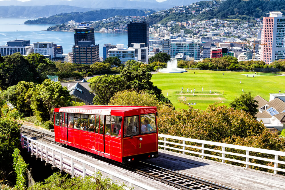 Wellington City Full Day Tour