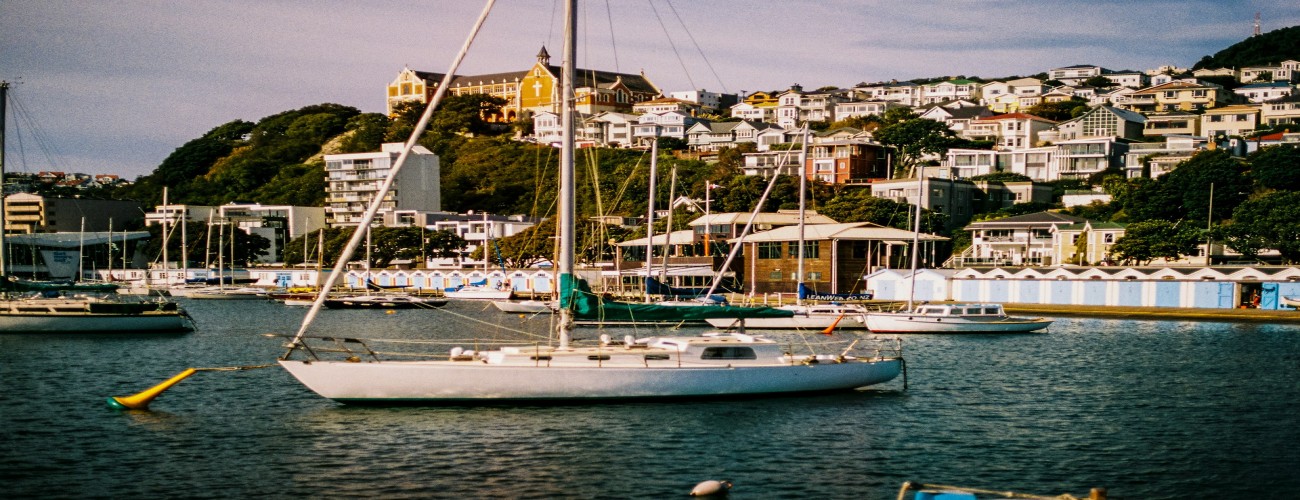 Exclusive Wellington Full Day Tour in Luxury Car